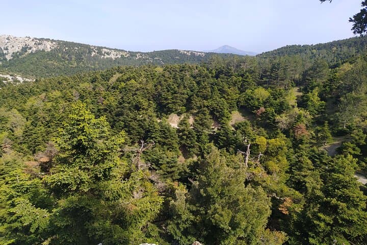 Parnitha Day Hike from Athens: Private 9km Mountain Trail with Panoramic Views photo 2