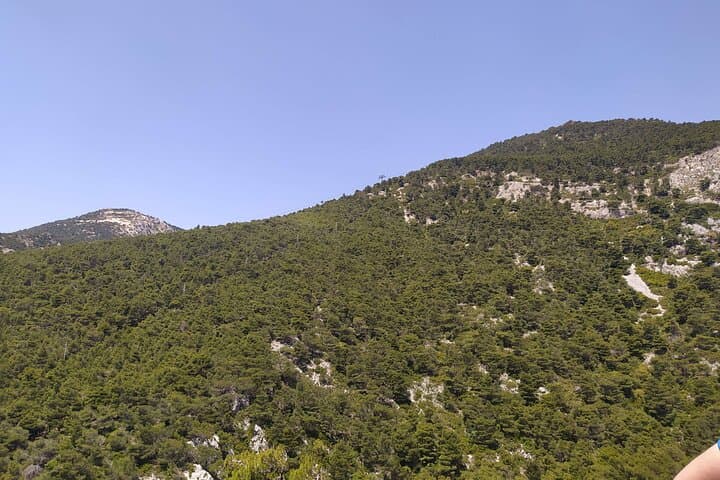 Parnitha Day Hike from Athens: Private 9km Mountain Trail with Panoramic Views photo 5