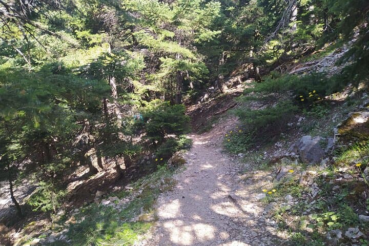 Parnitha Day Hike from Athens: Private 9km Mountain Trail with Panoramic Views photo 6