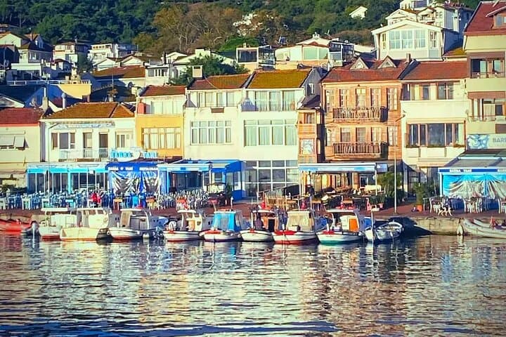 Private Princes' Islands Tour — Büyükada Day Trip from Istanbul photo 4