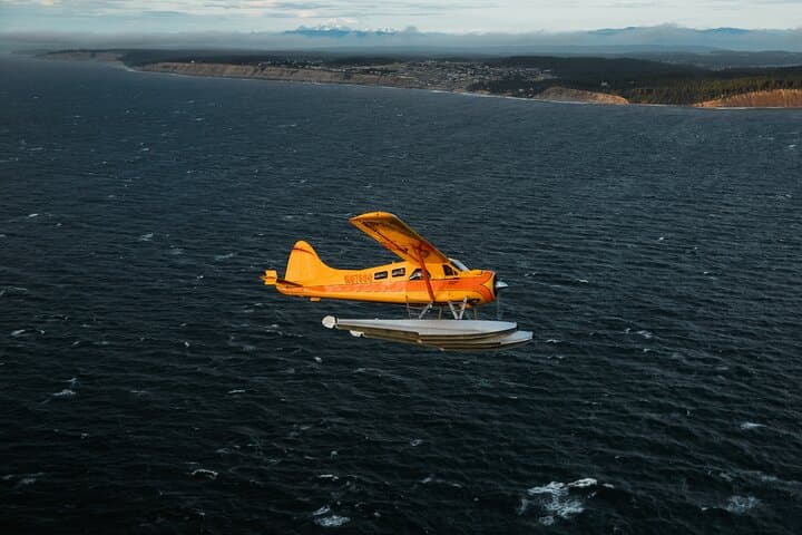 Seattle to San Juan Islands Seaplane Tour - 3-Hour DeHavilland Beaver Flight photo 5