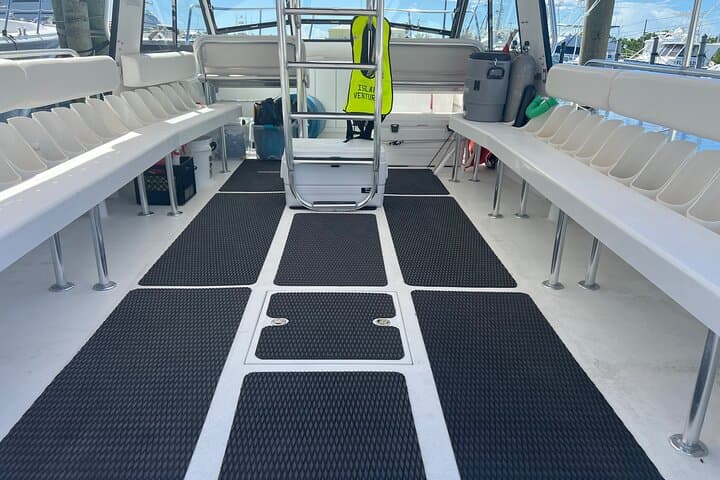 Private Snorkel Charter to Key Largo Reef — Gear Included, Turtle & Ray Sightings photo 6