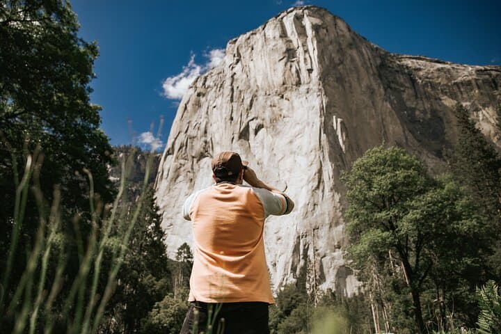 Yosemite Highlights and Giant Sequoias: Full-Day Tour from San Francisco