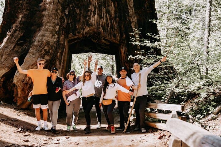 San Francisco to Yosemite One-Way Transfer — Flexible Access to Yosemite Valley & Giant Sequoias