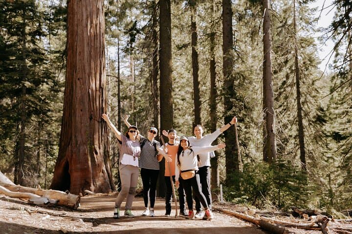 Yosemite & Giant Sequoias: 2-Day Semi-Guided Tour from San Francisco