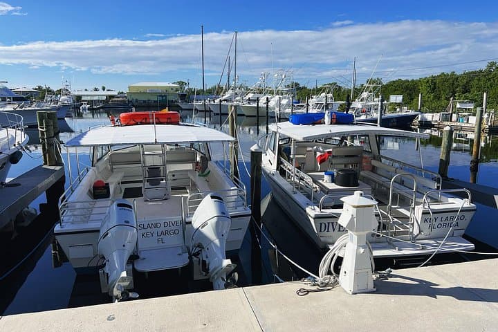 Key Largo Snorkel Tours to the Coral Reef — Small-Group Trip with Gear photo 3