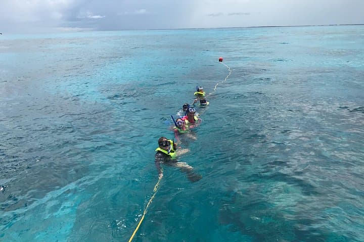 Key Largo Snorkel Tours to the Coral Reef — Small-Group Trip with Gear