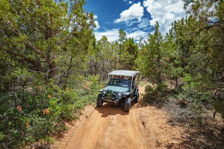 Exploring East Zion: A Rugged Jeep Tour to Checkerboard Mesa and Jolley Gulch photo 5