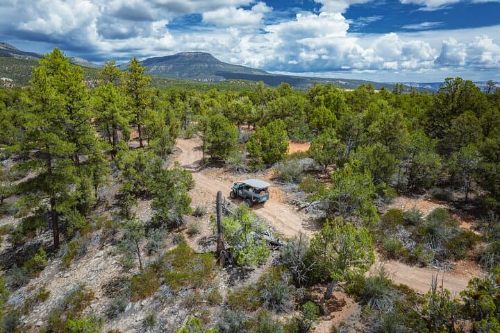 Exploring East Zion: A Rugged Jeep Tour to Checkerboard Mesa and Jolley Gulch photo 6