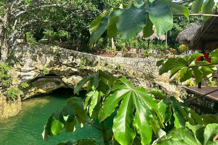 Three Cenotes Jungle Adventure and Tequila Tasting near Cancun photo 3