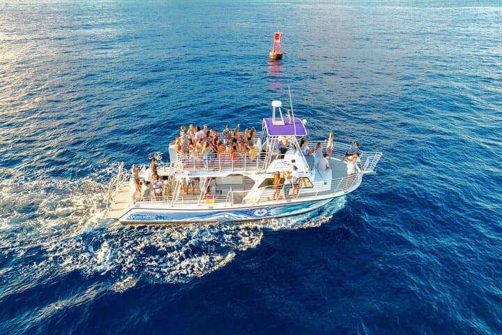 Waikiki Whale Watching Cruise: Hula, Hydrophones & Diamond Head Views photo 4