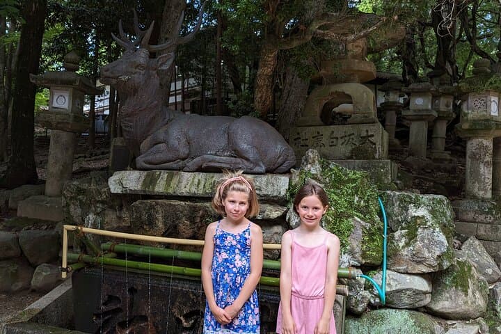 E-Bike Nara Highlights: Todaiji, Deer & Kasuga Taisha in 3.5 Hours photo 6