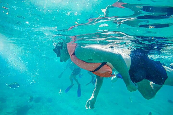 Cabo Arch & Chileno Bay Snorkel Tour with Lunch and Open Bar photo 4