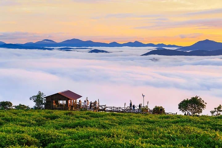 Cloud Hunting in Da Lat: Cau Dat Tea Hills, Wind Farm & Winery Morning Tour