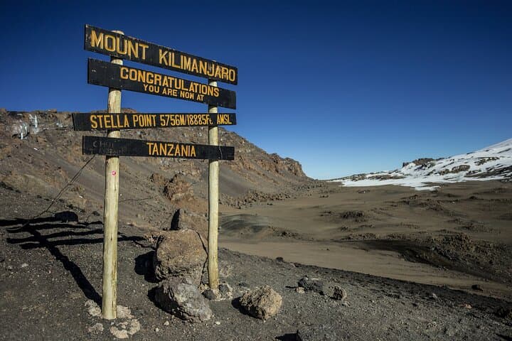 Marangu Day Tour: Hike to Mandara Hut & Marangu Falls on Kilimanjaro's Eastern Slopes photo 3