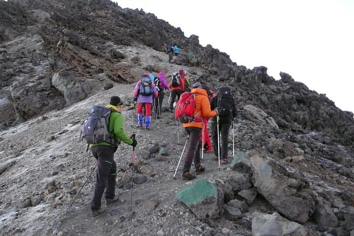 Marangu Day Tour: Hike to Mandara Hut & Marangu Falls on Kilimanjaro's Eastern Slopes photo 4