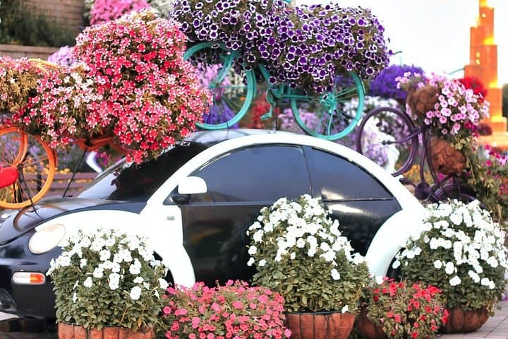 Dubai Day Combo: Miracle Garden Visit and Marina Dhow Dinner Cruise photo 3