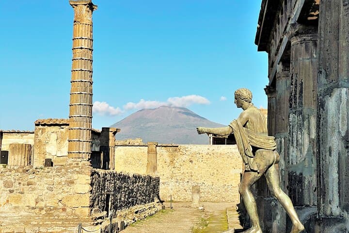 Skip-the-Line Pompeii Guided Tour and Vineyard Lunch from Naples