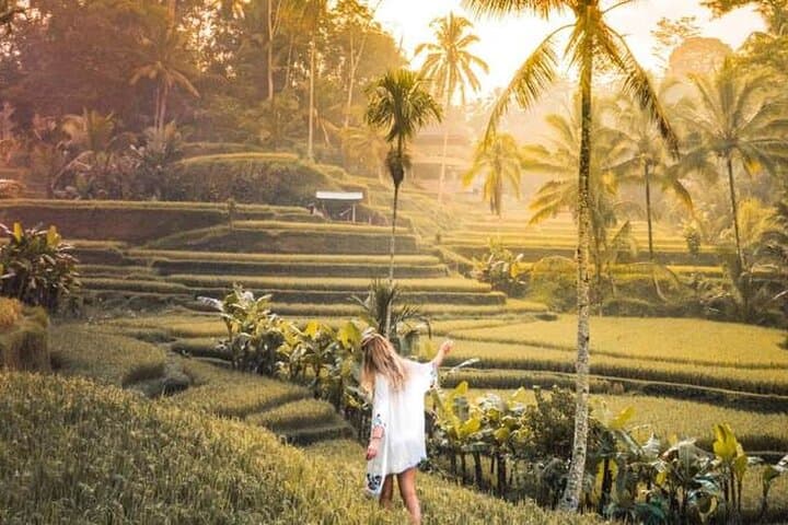 Ubud Spring Temple, Waterfall & Rice Terraces Private Day Tour photo 2