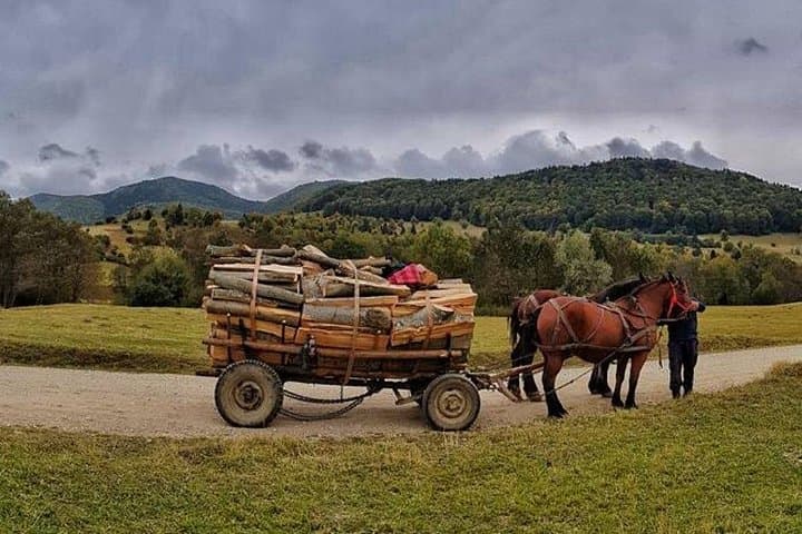 Day Trip from Bucharest to Sinaia & Doftana Villages — Private Guided Tour photo 2