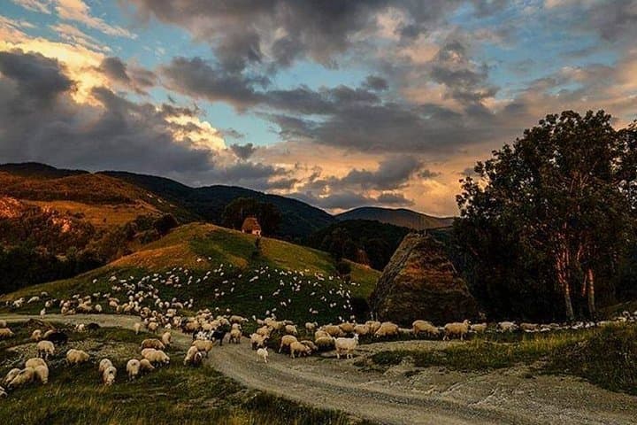 Day Trip from Bucharest to Sinaia & Doftana Villages — Private Guided Tour photo 3