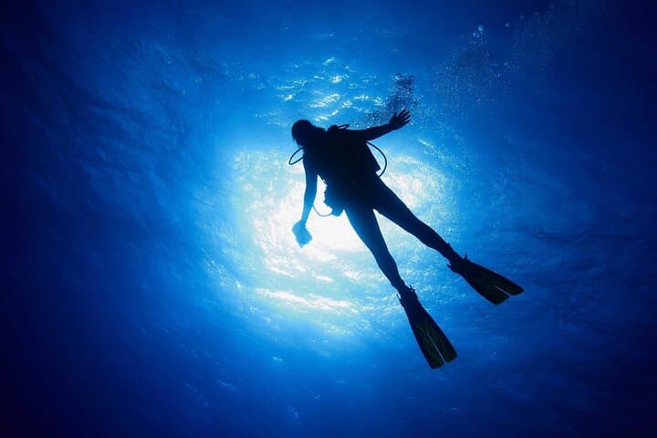 Dubai Scuba Diving Adventure: Introductory Dive in the Arabian Gulf photo 6