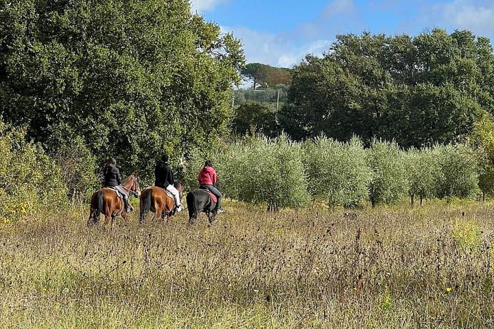 Horseback Riding in Montepulciano: Tuscan Countryside Ride & Farm Lunch photo 3