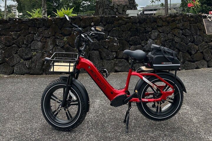 Explore Hawaii Volcanoes National Park and Waterfalls on a Bespoke Private E-Bike Tour photo 2