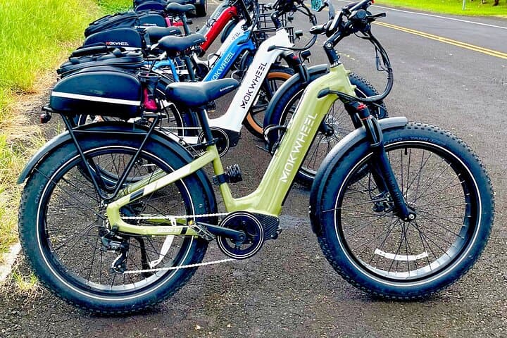 Explore Hawaii Volcanoes National Park and Waterfalls on a Bespoke Private E-Bike Tour photo 4