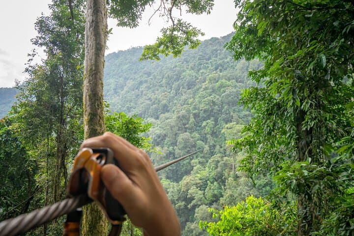 Siem Reap Angkor Zip Line Private Adventure — Treetop Zips & Angkor Museum