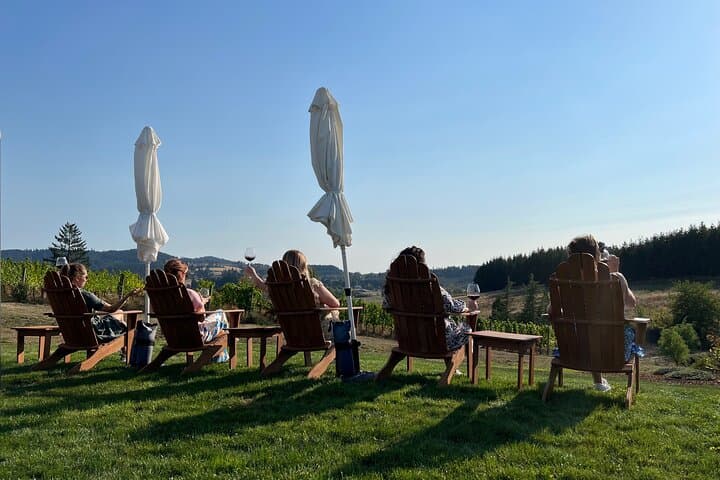Willamette Valley Private Wine Tour: Best Wines & Views Full-Day Experience
