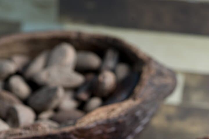 Uxmal, Cenote Sambula & Choco Story: Full-Day Cultural Tour from Mérida photo 5