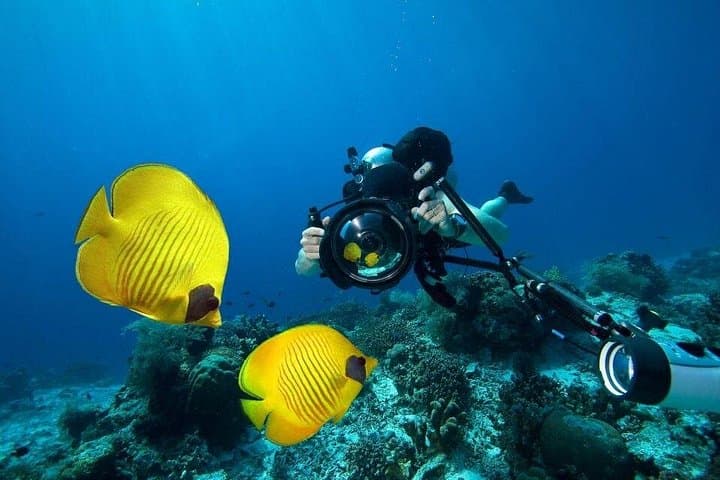 Sharm El Naga Full-Day Snorkeling from Hurghada — Coral Reefs & Sandy Bays photo 3