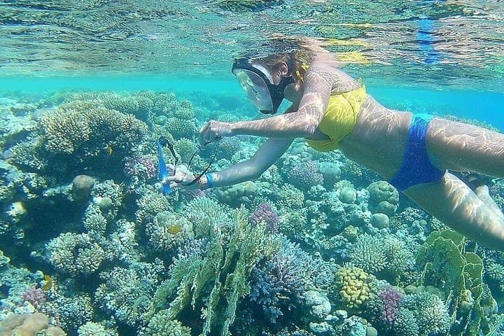 Sharm El Naga Full-Day Snorkeling from Hurghada — Coral Reefs & Sandy Bays photo 4
