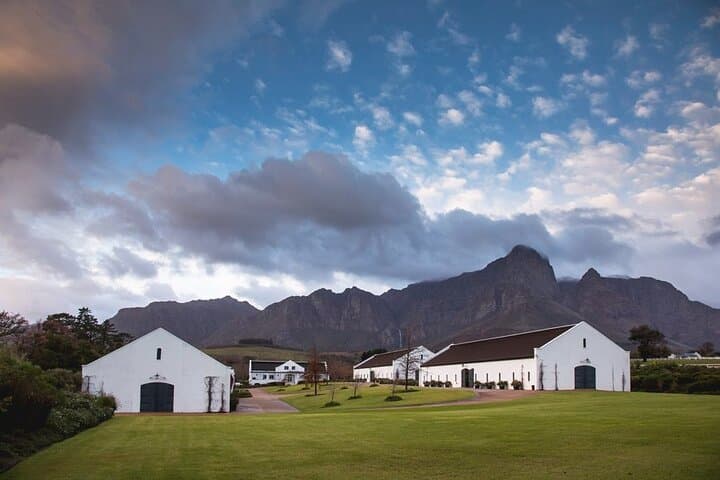 Cape Winelands Wine Tasting & Heritage Tour — Franschhoek to Fairview