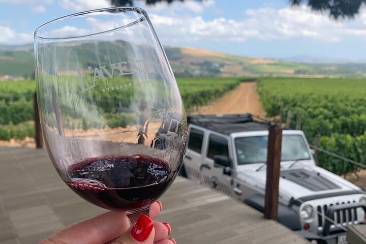 Full-Day Stellenbosch Wine Tour: Private Jeep Tastings, Oak-Tree Picnic & Valley Views photo 3