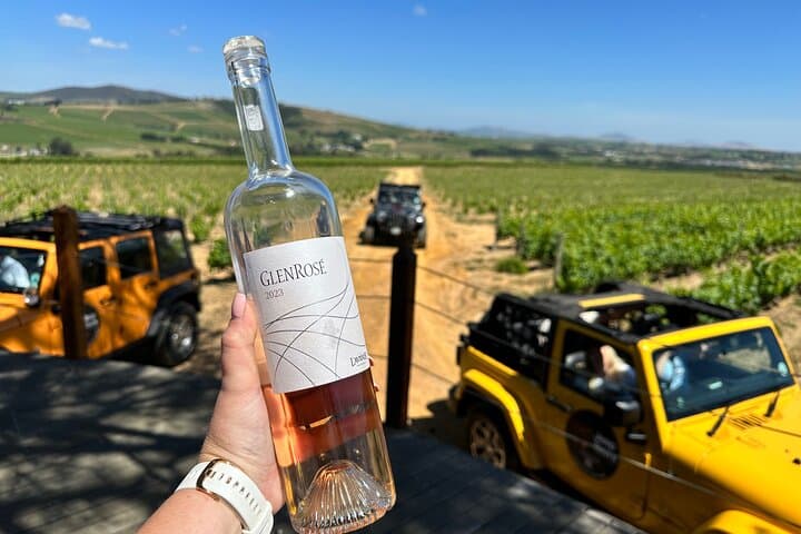 Full-Day Stellenbosch Wine Tour: Private Jeep Tastings, Oak-Tree Picnic & Valley Views photo 6