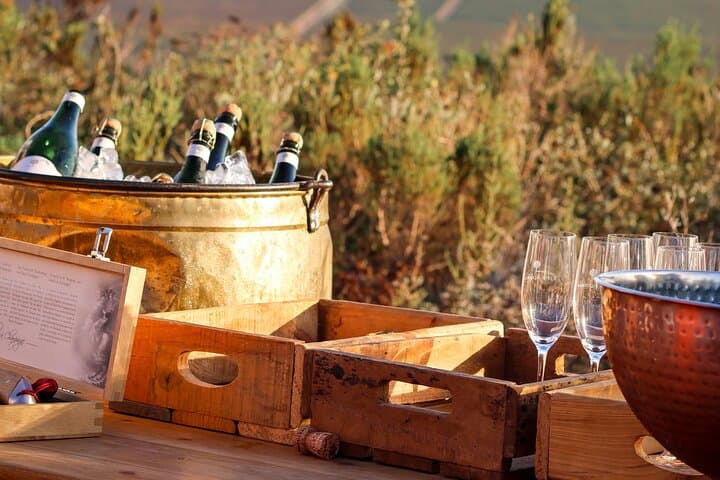 Full-Day Stellenbosch Wine Tour: Private Jeep Tastings, Oak-Tree Picnic & Valley Views photo 5