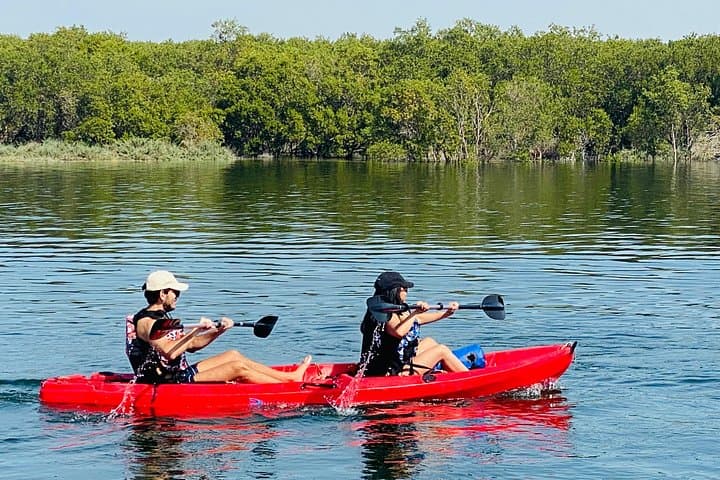 Guided Kayak Through Al Reem Mangroves: 2-Hour Eco Tour in Abu Dhabi photo 1