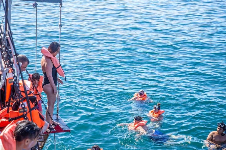 Pirate Treasure Snorkel in Aguas Claras — Cabo San Lucas Snorkeling Tour photo 4
