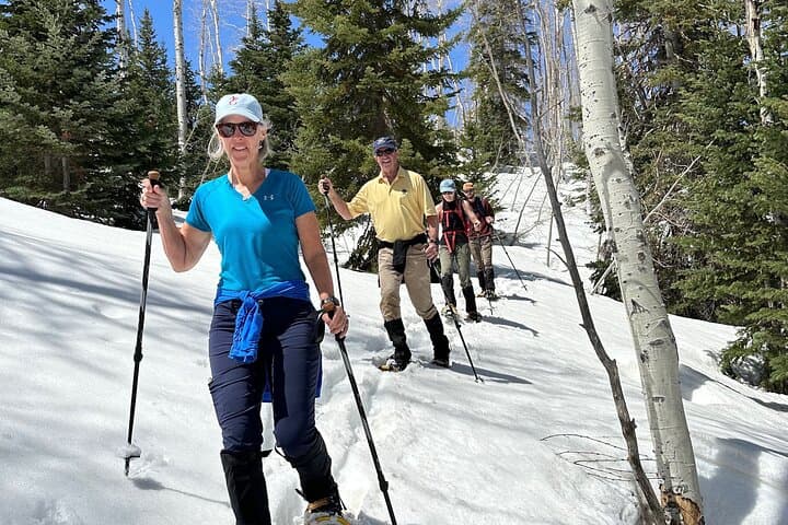 Private Park City Snowshoe Experience: Guided Winter Trek in the Wasatch