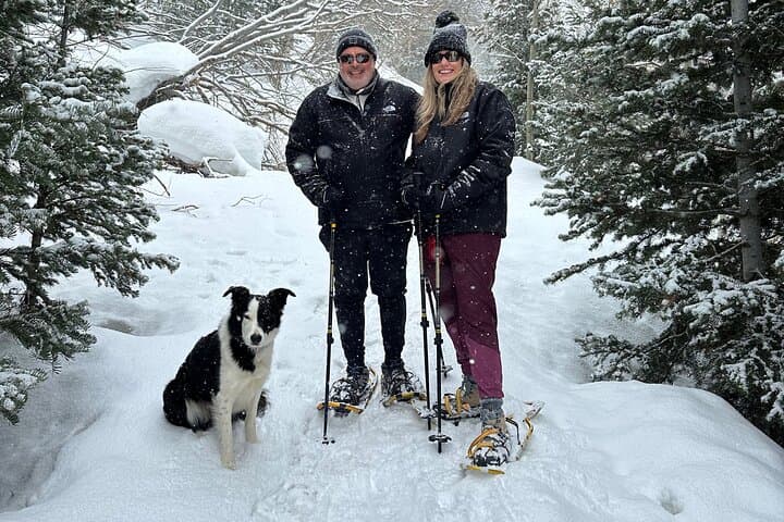 Private Park City Snowshoe Experience: Guided Winter Trek in the Wasatch photo 6