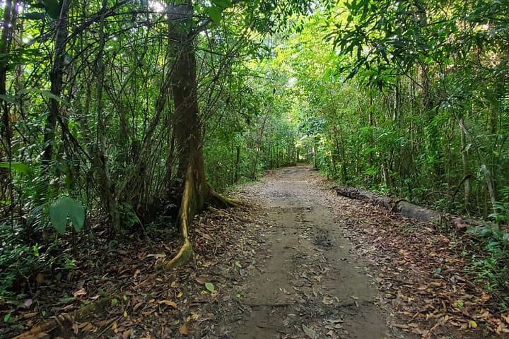 Hike Cockscomb Jaguar Preserve: Waterfalls, Ben’s Bluff & Wildlife photo 3