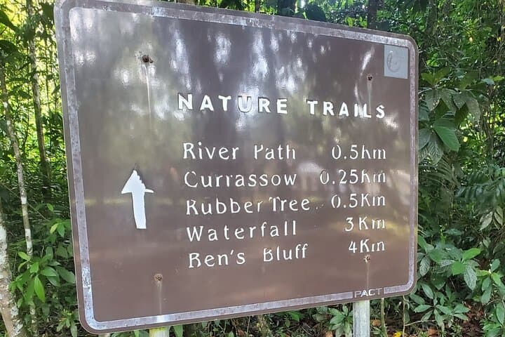 Hike Cockscomb Jaguar Preserve: Waterfalls, Ben’s Bluff & Wildlife photo 4