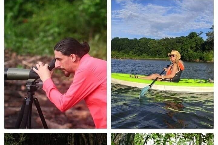Hiking and Birdwatching in Nosara Biological Reserve — Guided 90–120 Minute Nature Walk photo 3
