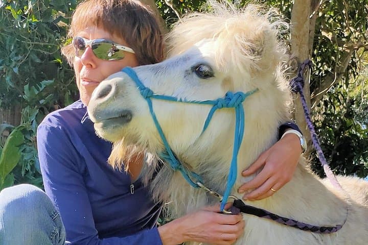 Pony Walking Adventure at Fagan Park — 4 km Bridleway Walk with Friendly Ponies photo 1