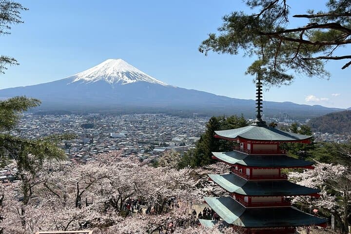 Full-Day Mt Fuji & Hakone Tour from Tokyo — Private Guide-Driver Experience photo 2