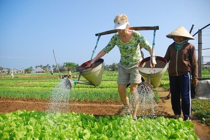 Hoi An Countryside Bicycle Tour: 3-Hour Ride Through Tra Que Herb Garden & Rice Fields photo 3