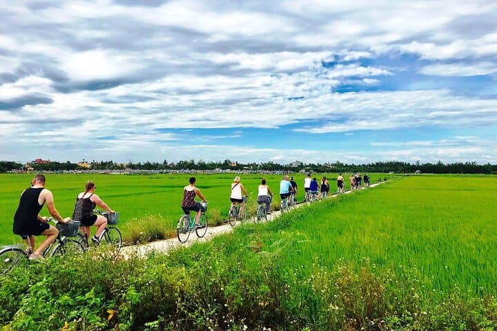 Hoi An Countryside Bicycle Tour: 3-Hour Ride Through Tra Que Herb Garden & Rice Fields photo 5