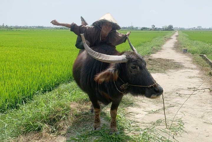 Hoi An Countryside Bicycle Tour: 3-Hour Ride Through Tra Que Herb Garden & Rice Fields photo 4